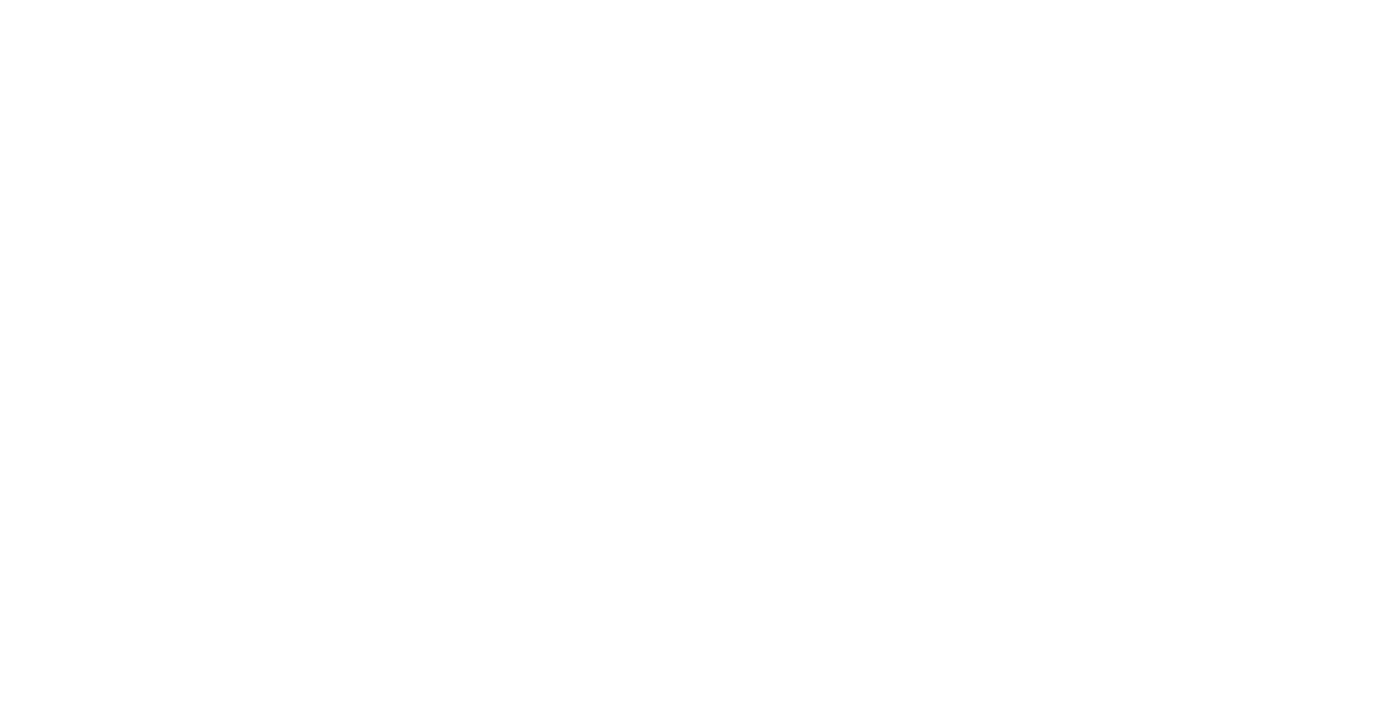 CEBİRS Logo Light